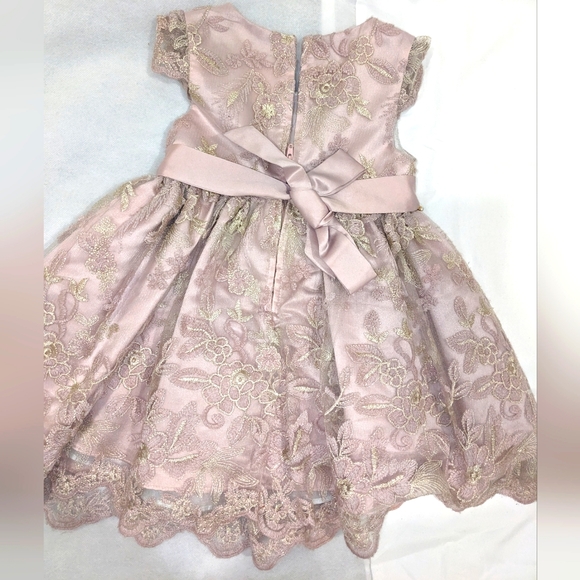 Rare Editions Toddler Girl Lace Dress - Picture 11 of 11